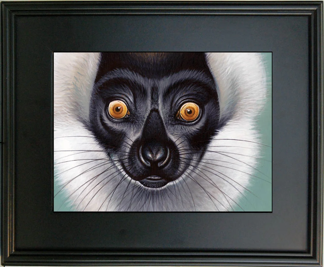 framefront1 2copy copy.jpg