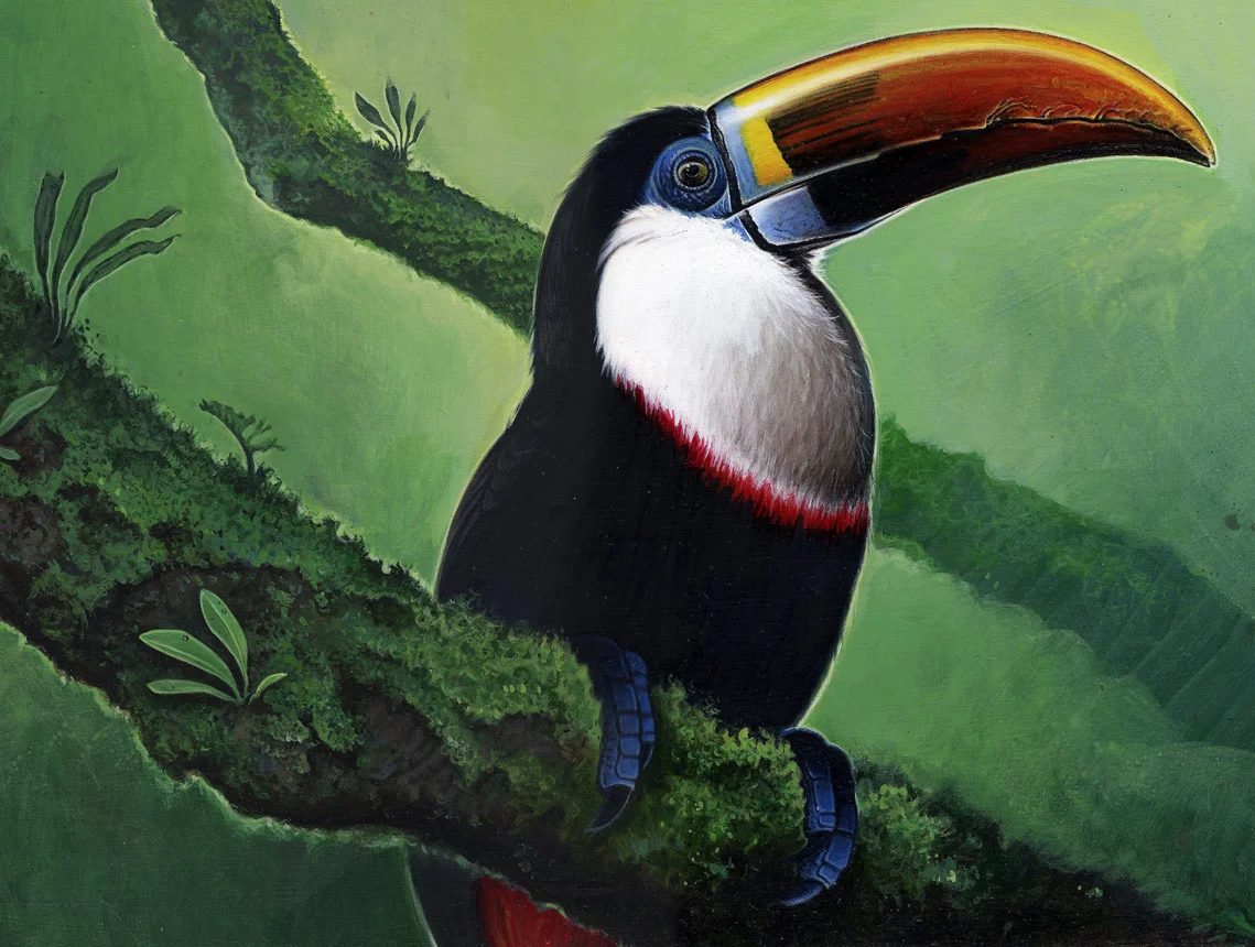 toucan copy.jpg