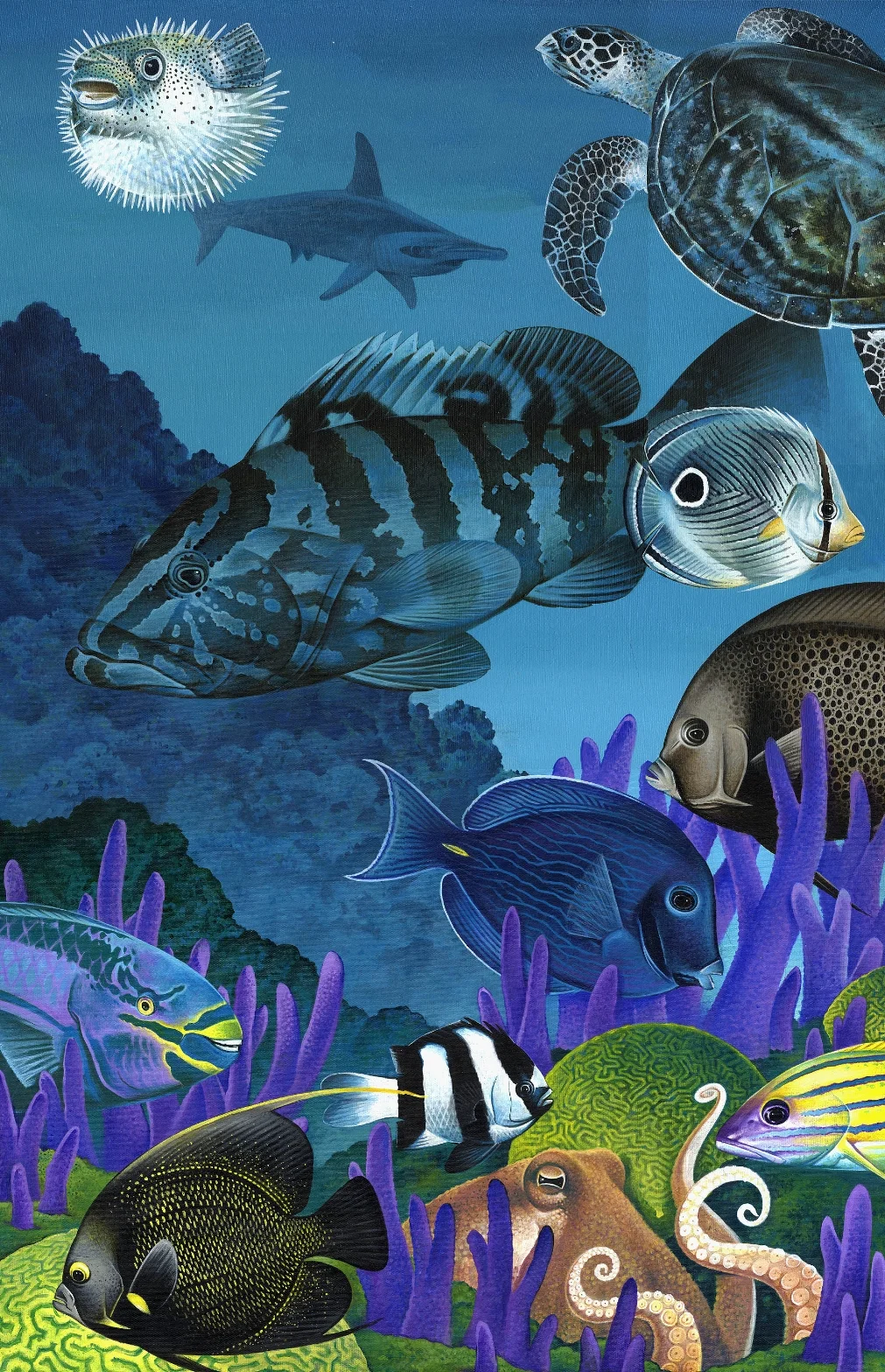 zalewski coral reef copy.jpg