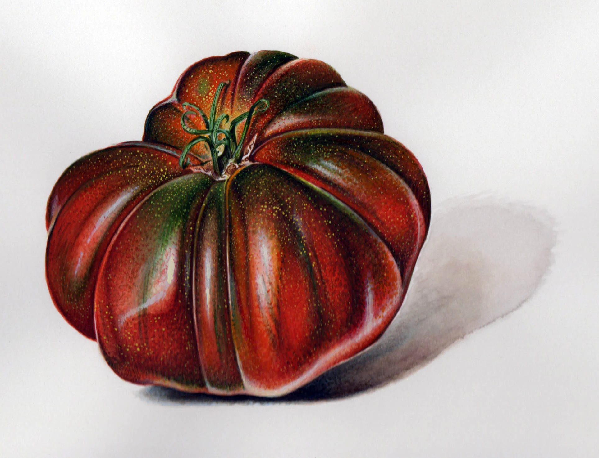 Heirloom Tomato