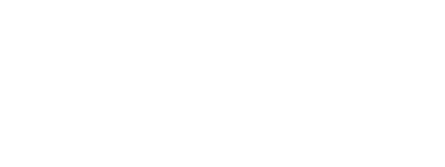 SRMC - Security Risk Management Consultants