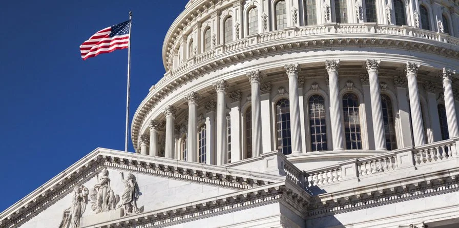 Government Security Consulting Case Study