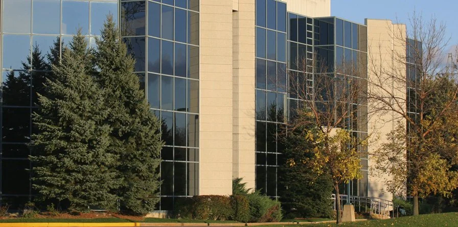 Corporate Security Consulting Case Study