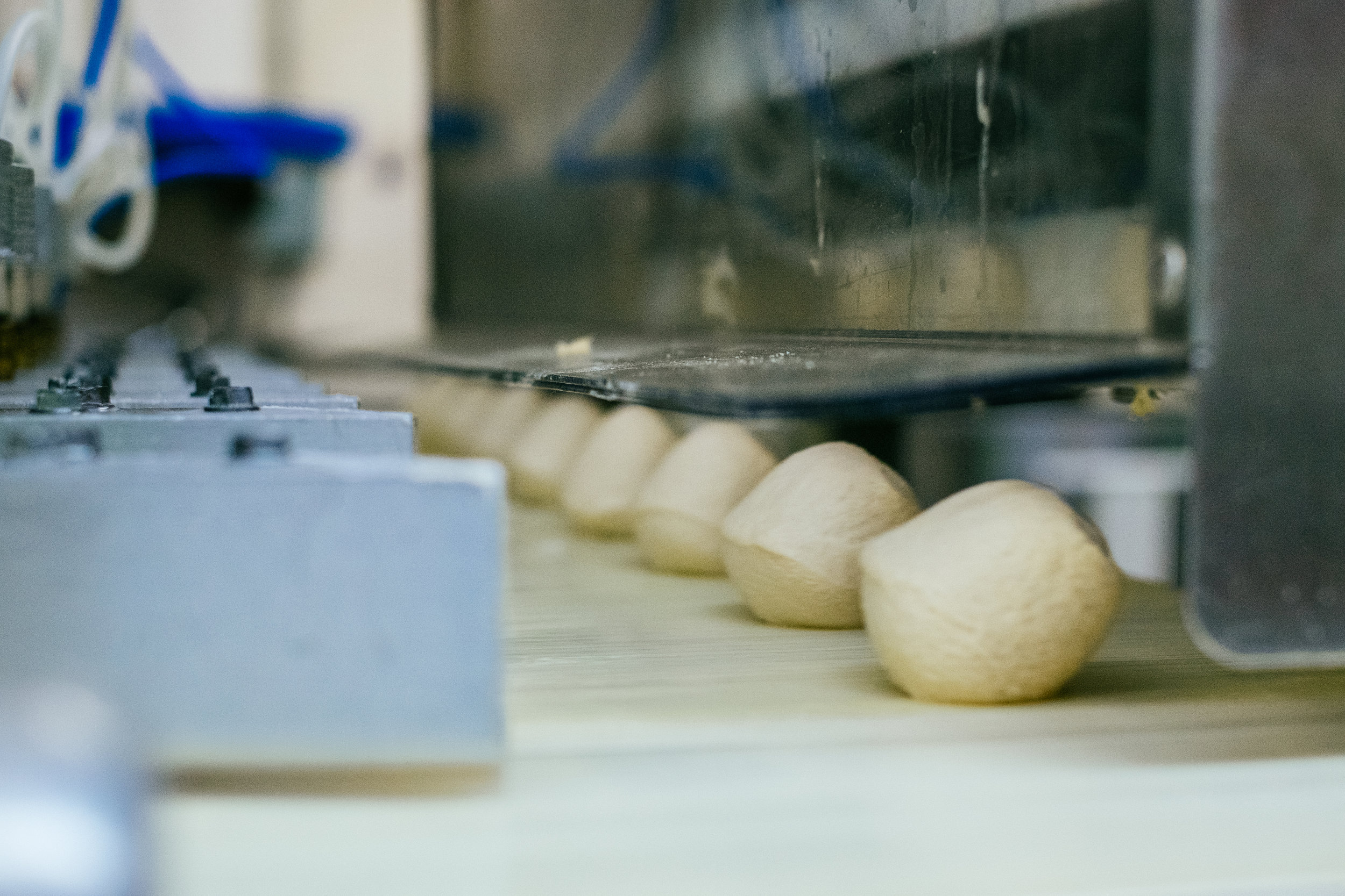 First steps of the Pita journey