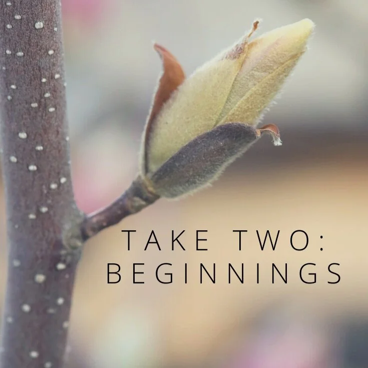 Take Two: Beginnings