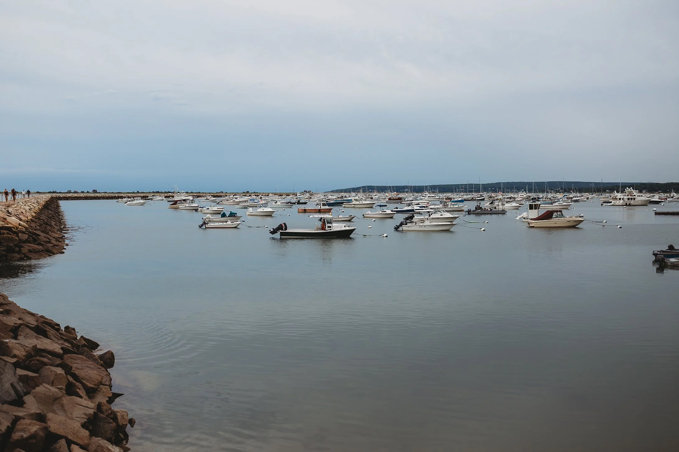 Savastano_0020.jpg