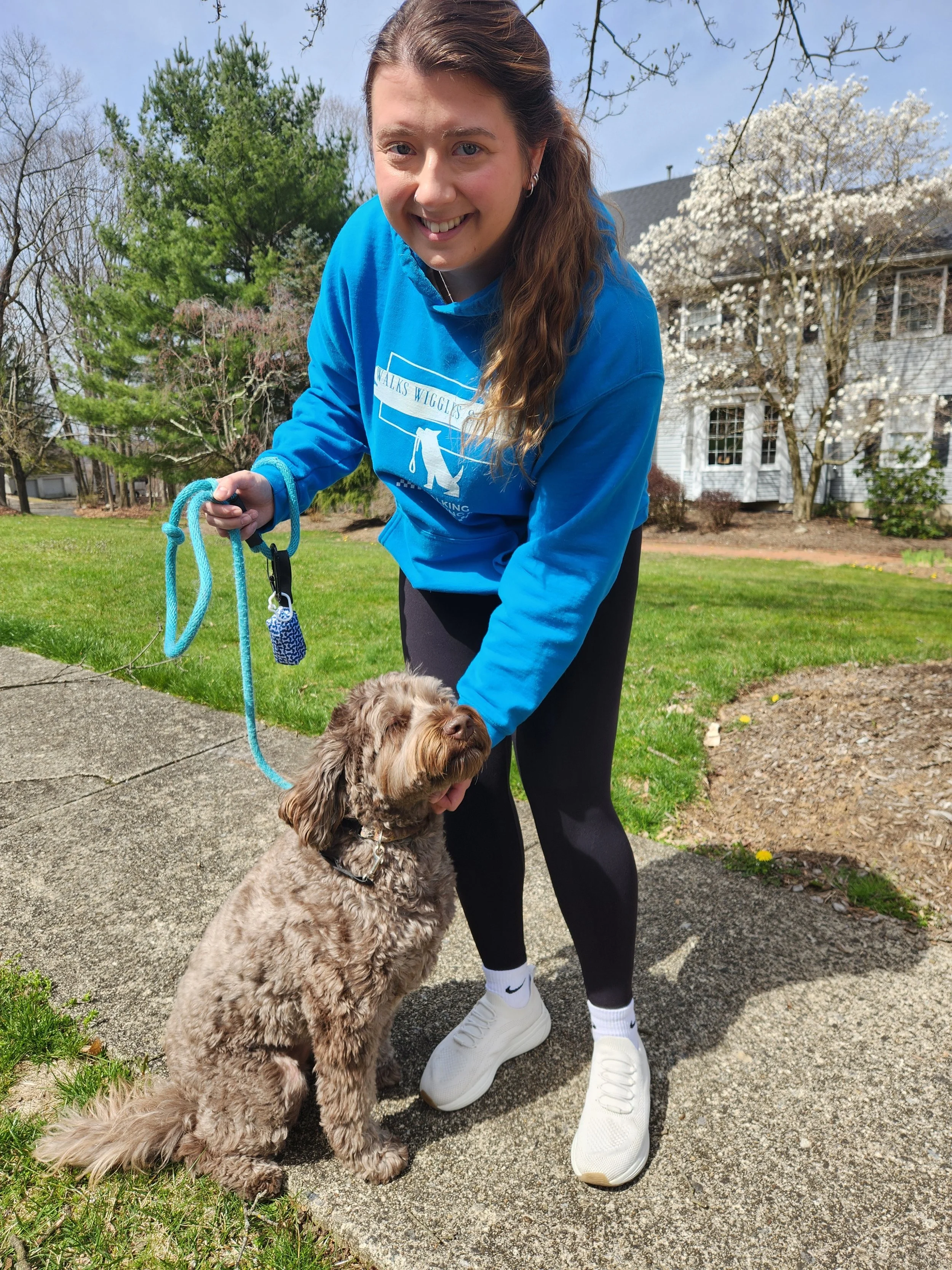 Walks Wiggles and Wags dog walker with cockapoo on a residential street — Randolph, NJ