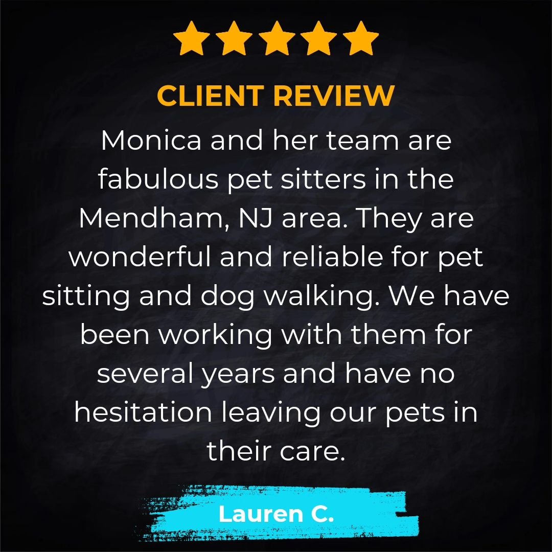 We're over the moon reading this glowing review from one of our amazing clients in Mendham. Thank you so much for trusting us with your furry family members.

We're committed to providing top-notch care and love to each and every one of our clients a