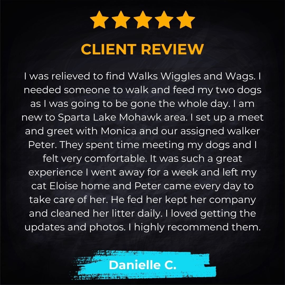 ⭐️⭐️⭐️⭐️⭐️ We&rsquo;re thrilled to share another 5-star review from a satisfied client! 🐾 Consistently delivering exceptional care for your pets is our mission, and our reviews reflect the dedication and professionalism of our team. 

🐶❤️ Trust us 