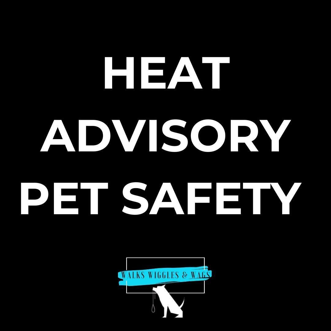Hey friends! With temperatures soaring this week, it's crucial to keep our pets safe. 🌡️🐶 Here are some tips to ensure your pup stays cool and comfy during this heat wave:

- Stay Hydrated 💦 - Always provide fresh, cool water. Bring a portable wat