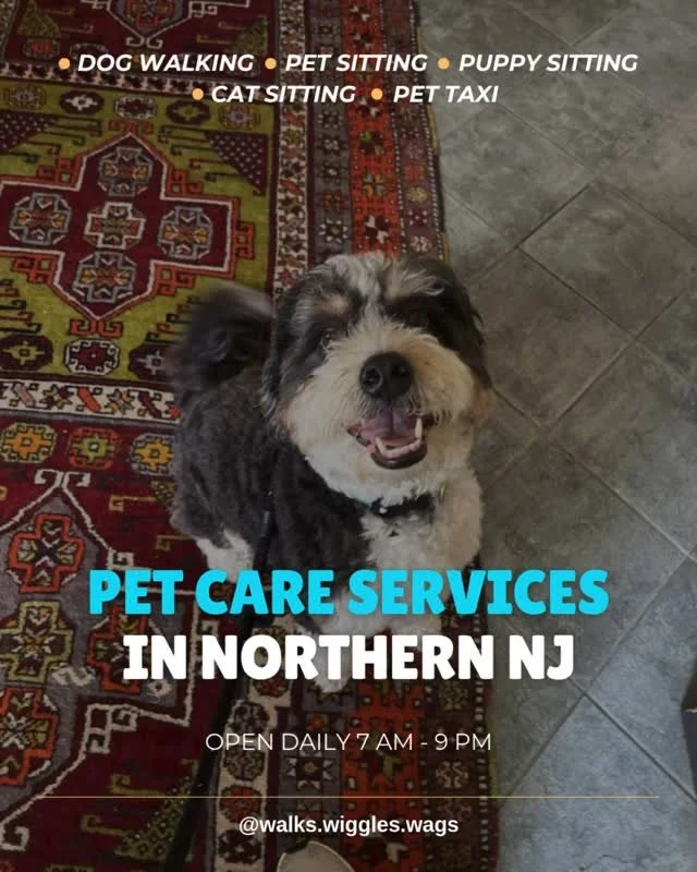 Don't trust just anyone with your pet care 🚫 Our trained, federally background-checked professionals will care for your pets and your home as if it's our own.

PET CARE SERVICES FOR NORTHERN NJ:

🦮 Dog Walking: Give your dogs companionship, exercis