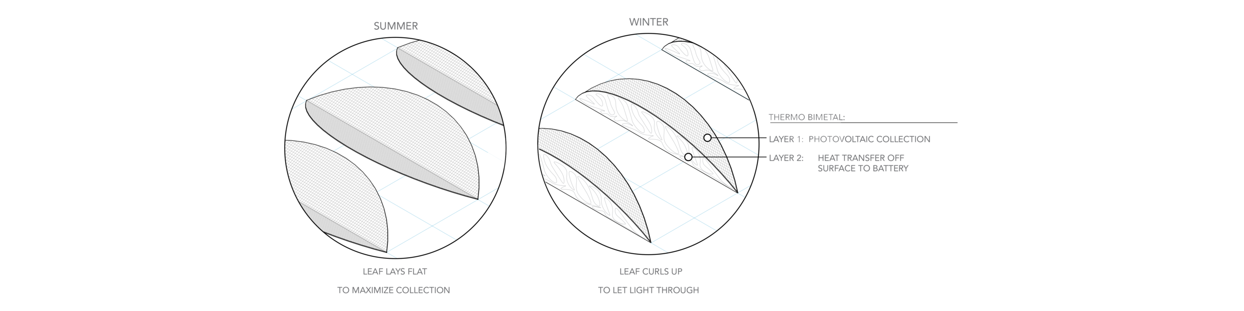 LEAF COLLECTION DIAGRAM.png