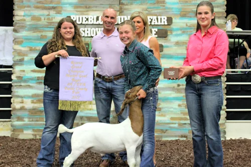 Reserve Grand Champion Market Goat Buyer: Pueblo Toyota/Pueblo Dodge Chrysler Jeep Ram Price: $3,250.00 Seller: Lannie-Jo Lisac