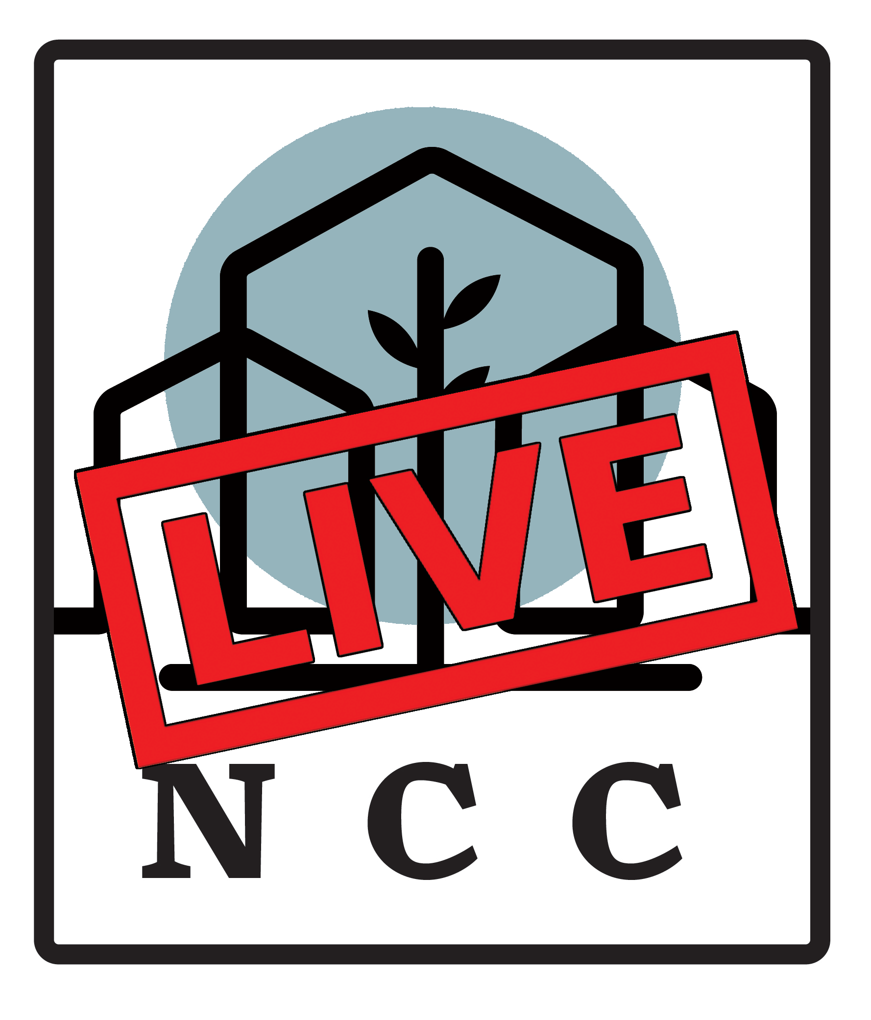 Sermon Live Stream Options