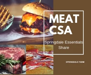 Springdale Essentials Full CSA Share