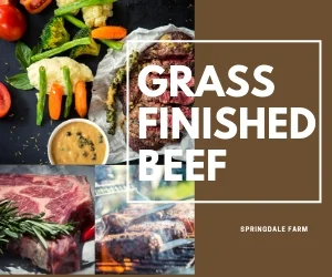 Bulk Beef Basics Box