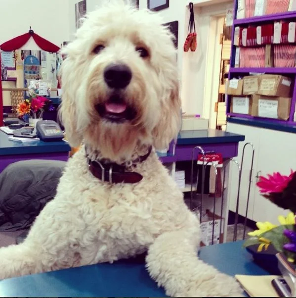 Employee of the Month