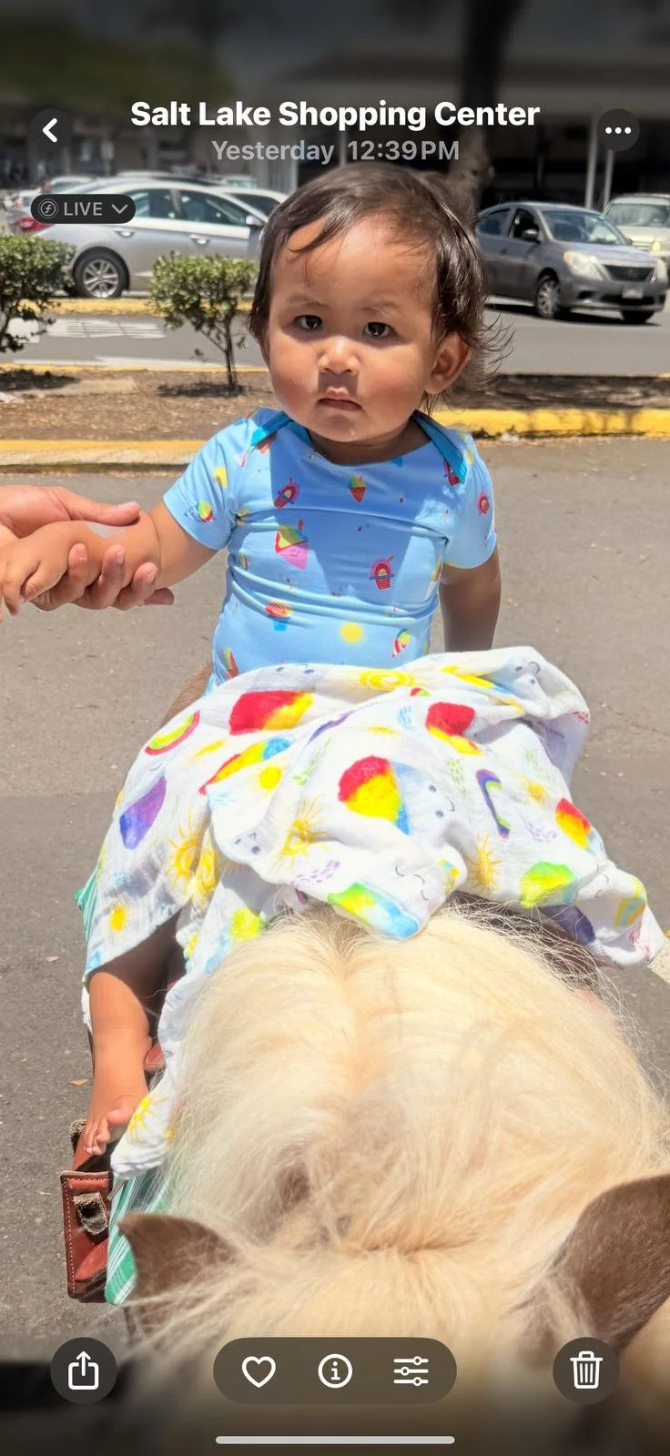 WhatsApp Image 2025-04-21 at 4.40.12 PM.jpeg