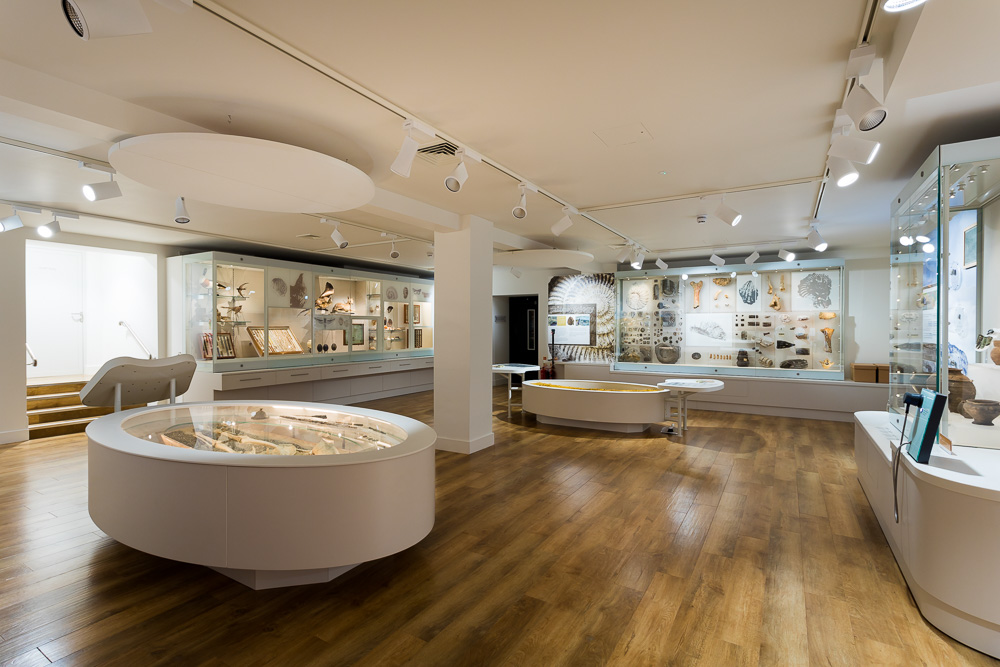 Folkestone Museum