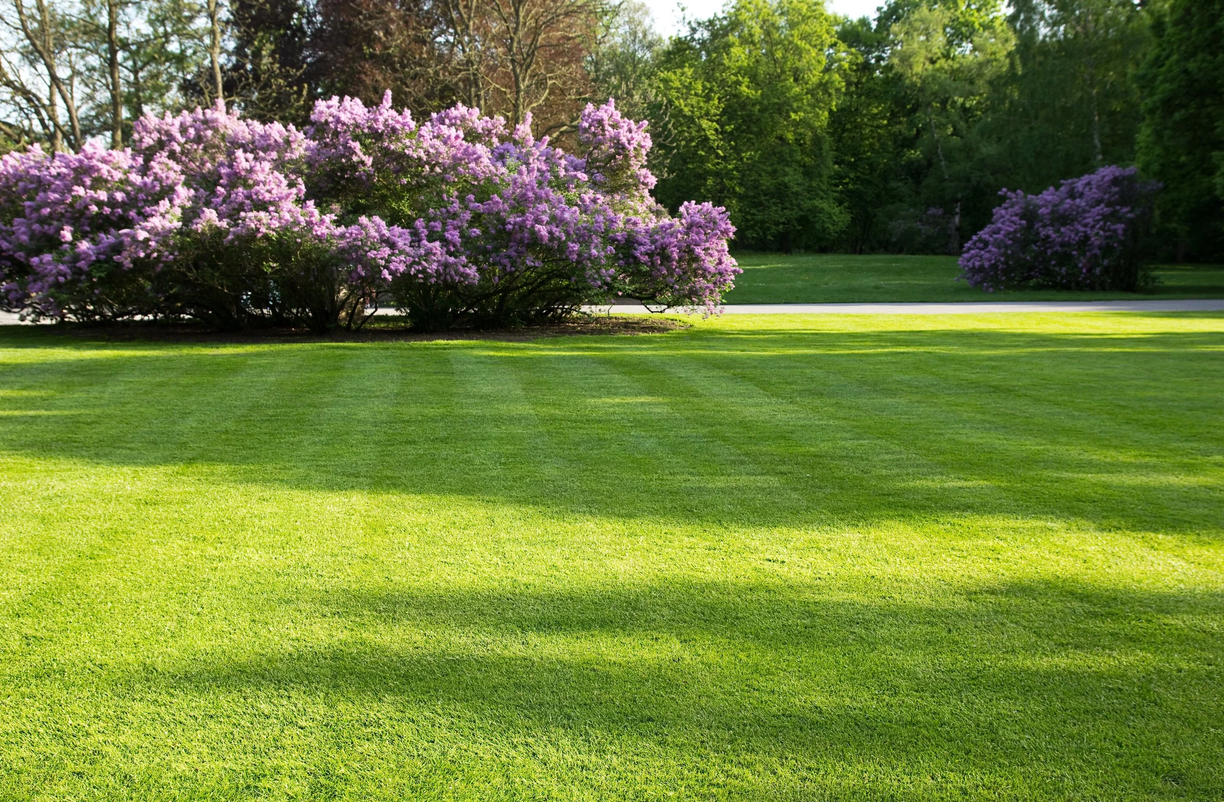 Lawn Care & Fertilization in Brecksville, OH | C&S Lawn Service & Landscape