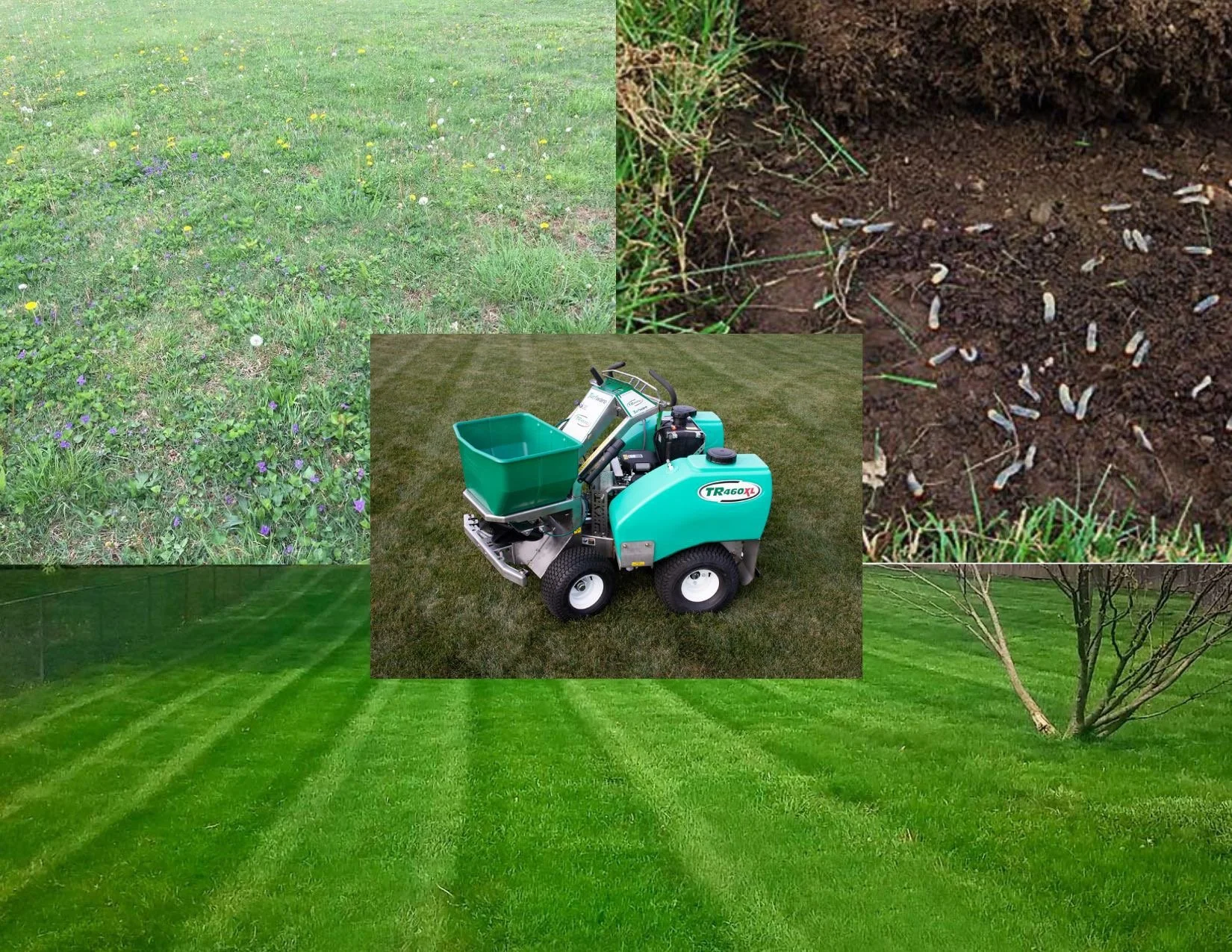 Unlock Greener Grass: Expert Lawn Fertilization Services in Brecksville, OH
