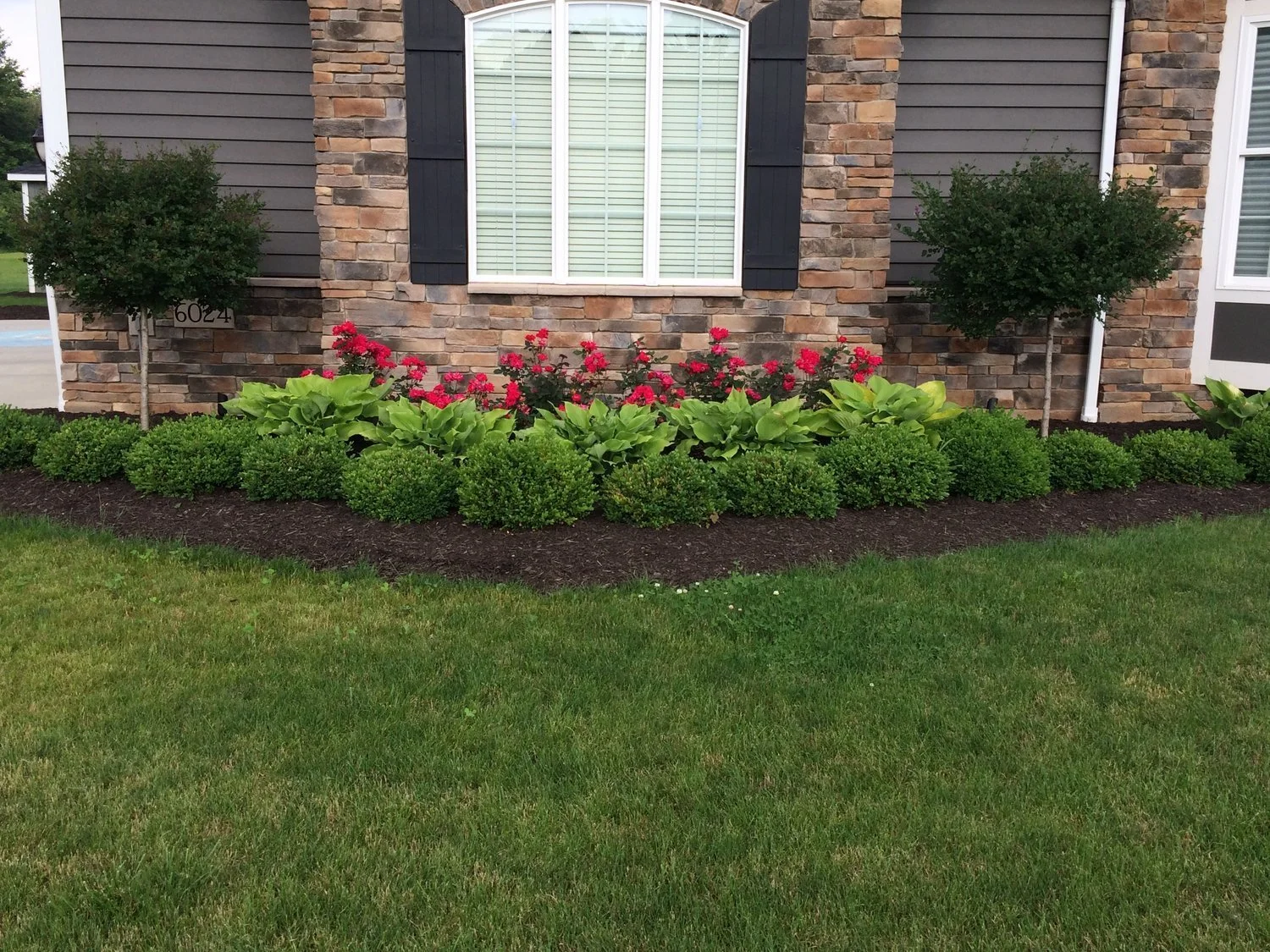 Expert Lawn Fertilization Techniques for Vibrant Front and Backyards in Medina and Seville, OH