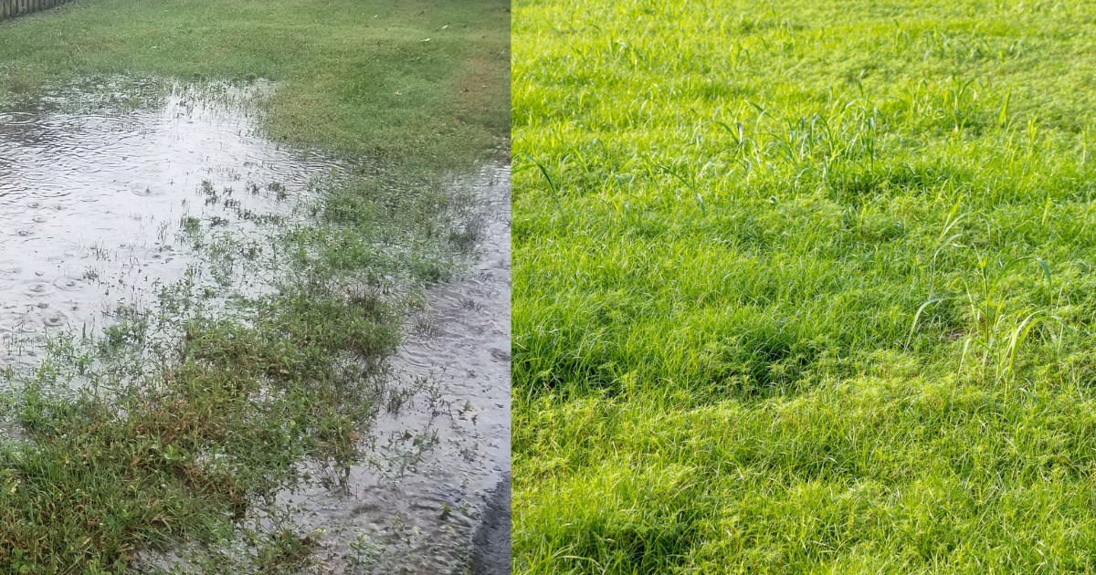 Standing Water in Your Yard? What Northeast Ohio Homeowners Should Know