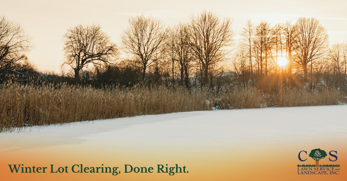 Winter_Lot_Clearing,_Done_Right.png