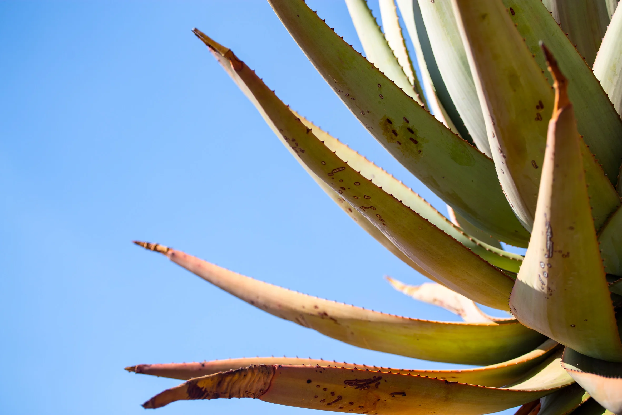 Raus aus alten Mustern 