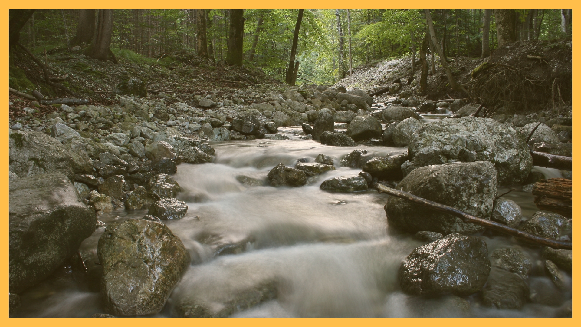 Unsere psychische Selbstheilkraft: Die Homöostase