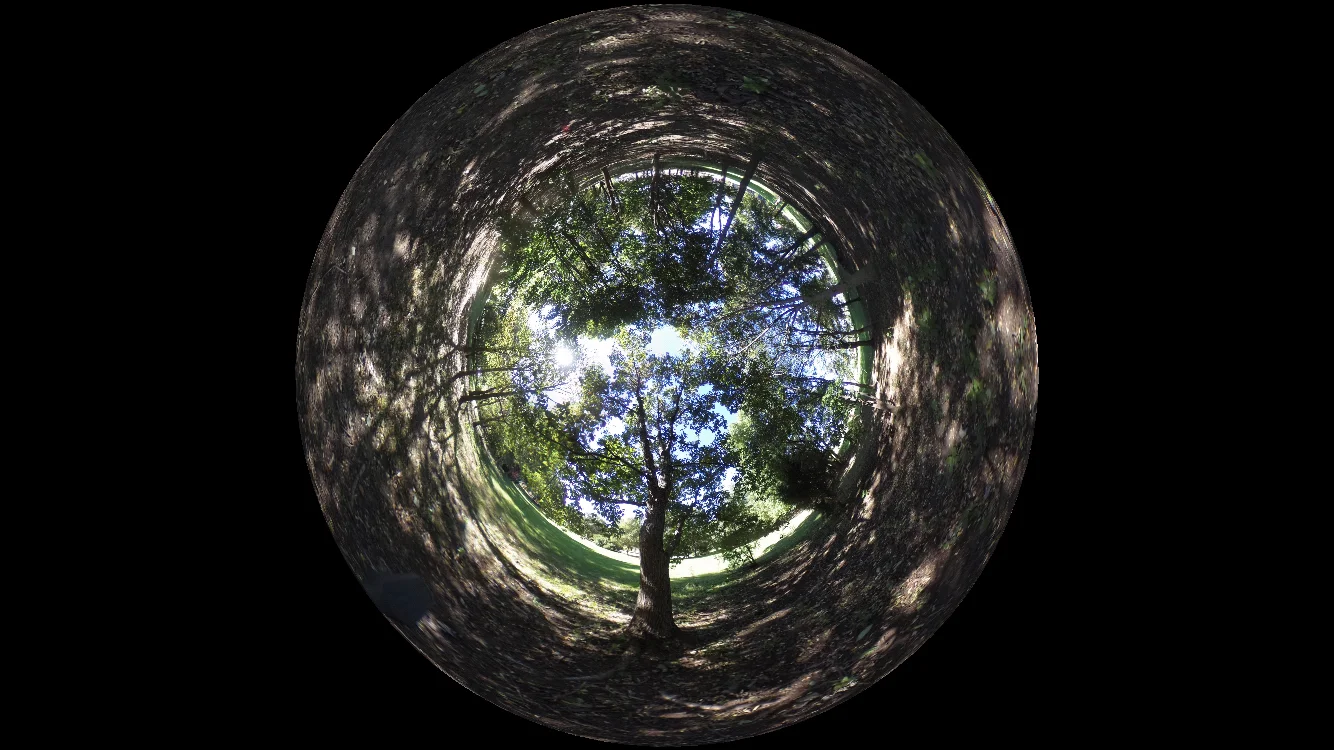 Experiencing Nature Through Virtual Reality