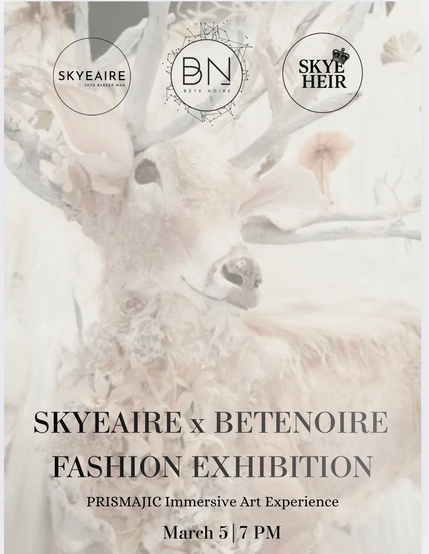Skyeaire X B&ecirc;te Noire 
A Fashion Art Experience
March 5th 7PM
More details coming soon. You won&rsquo;t want to miss this one! 🖤