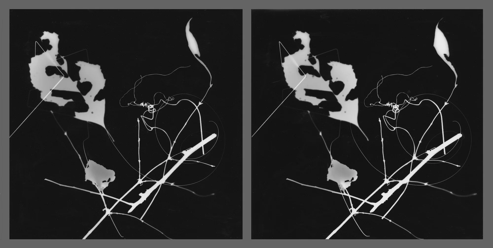 Photogram, 2017