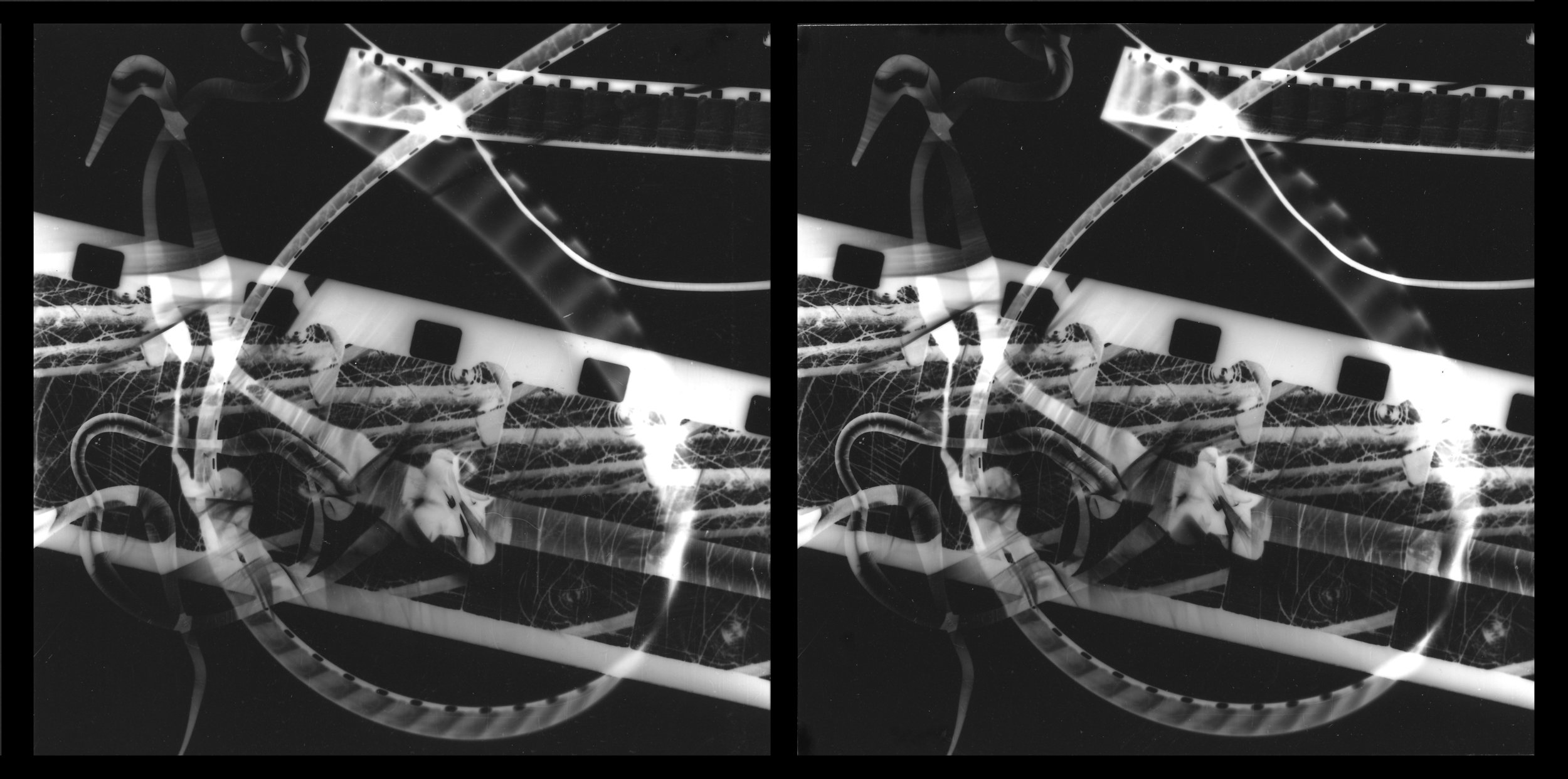 Stereo photogram, 2004