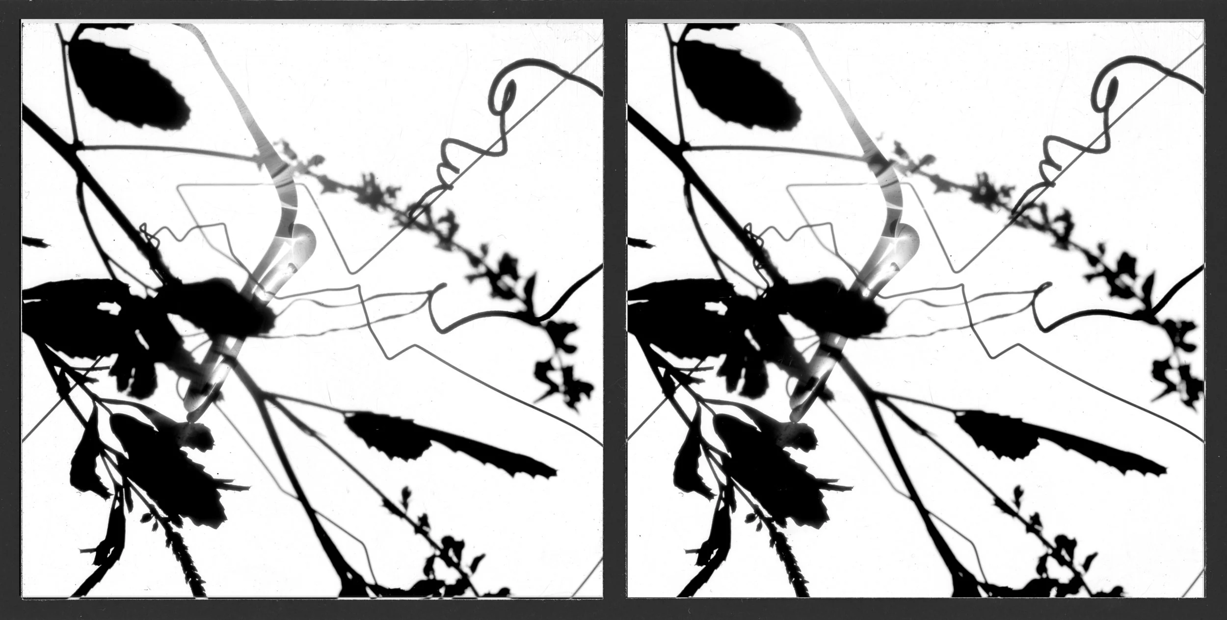 Stereo photogram, 2007.