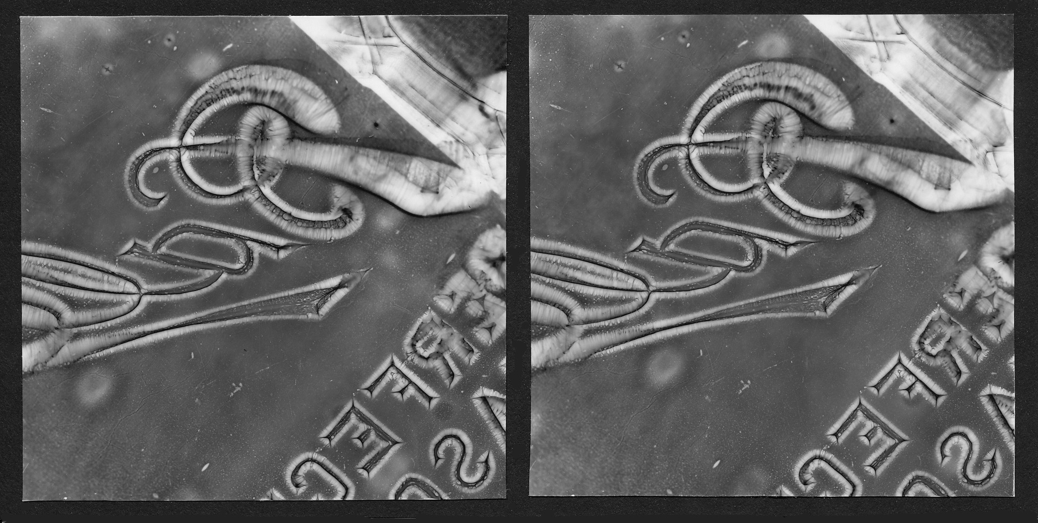 Stereo photogram, 2017.