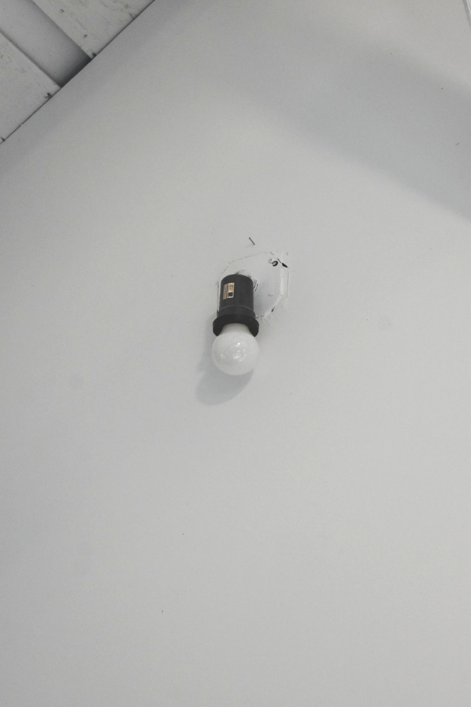 DSC_0693.png