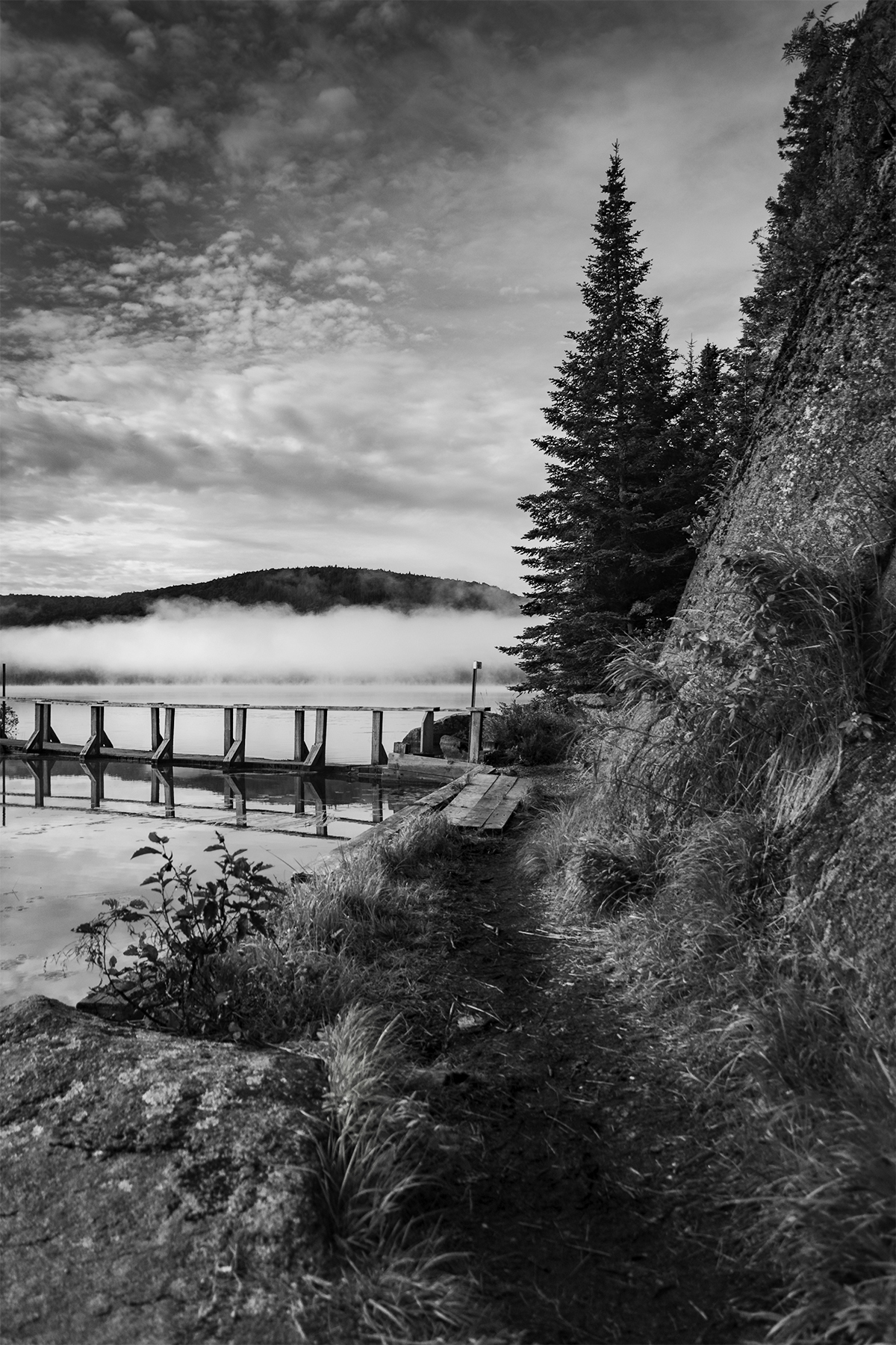 PIL2-A3-Higham01 copy.jpg