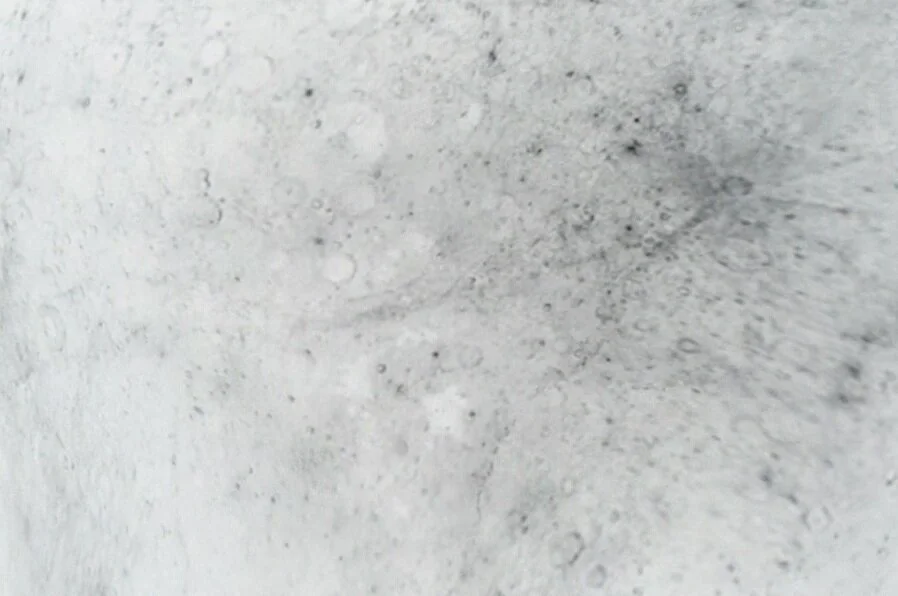 Julien Gaillac &amp; Laurie Salomé Cubaynes