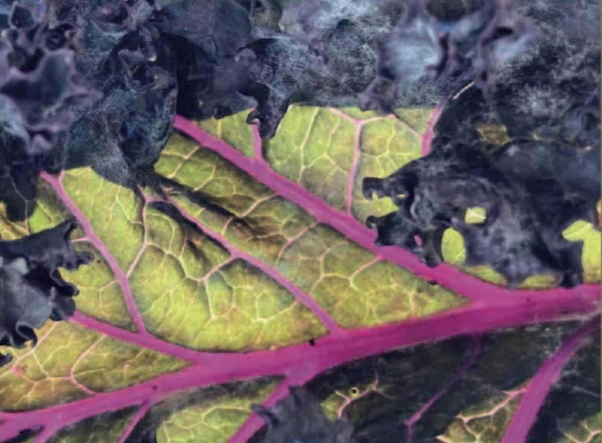 Géraldine Doat &amp; Hortense Grelier 