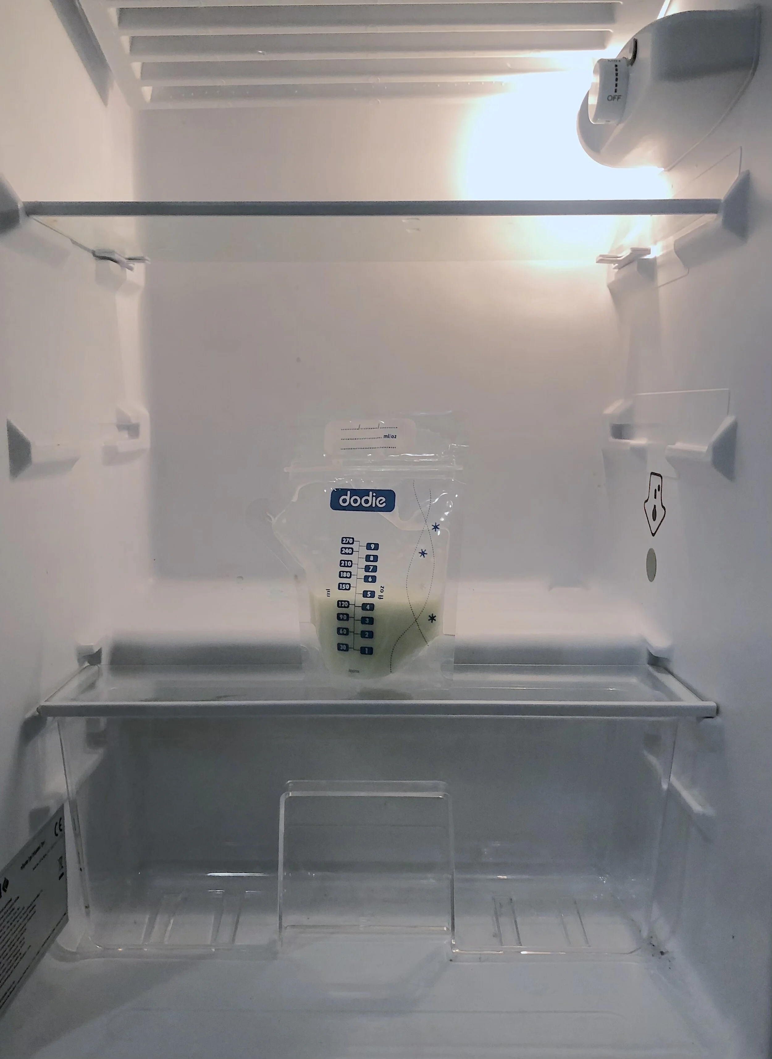 Sarah Forst &amp; Lucile Grémion 