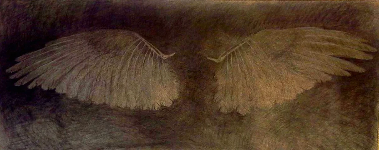 Desiccated Wings, by Juan Rodriguez
