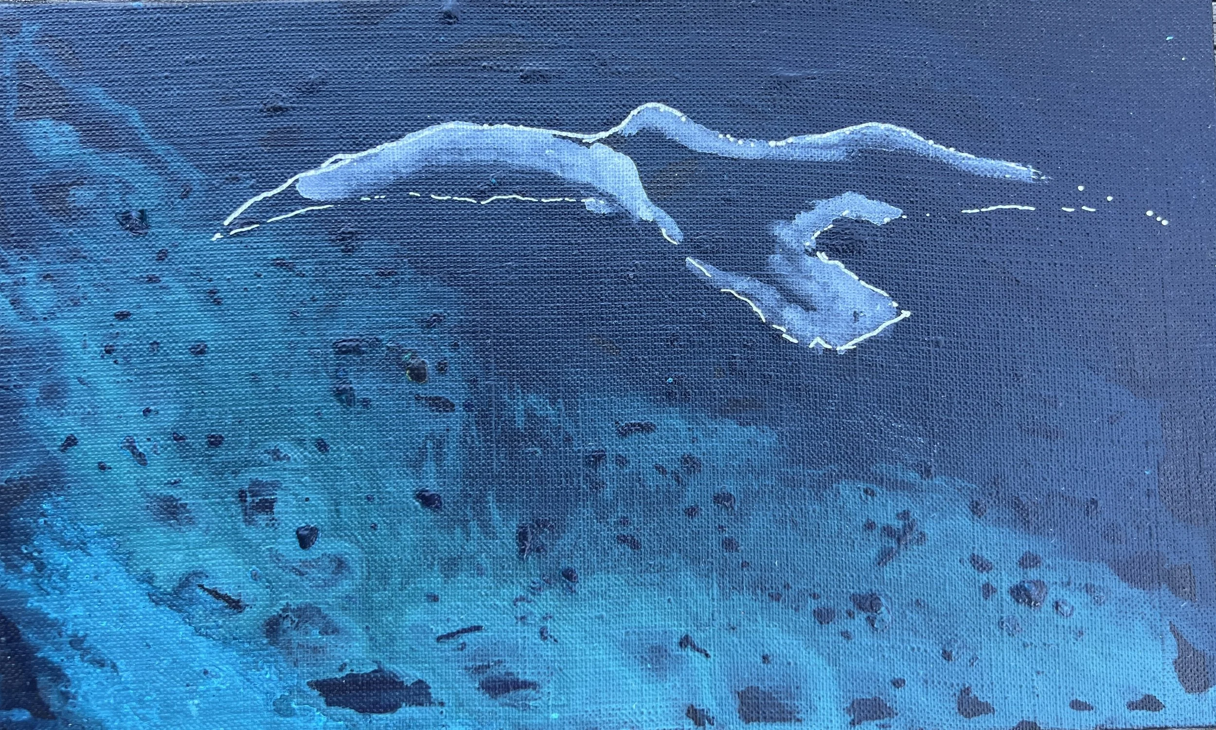 FLIGHT 5, 2025, BY NATASHA FREEMAN