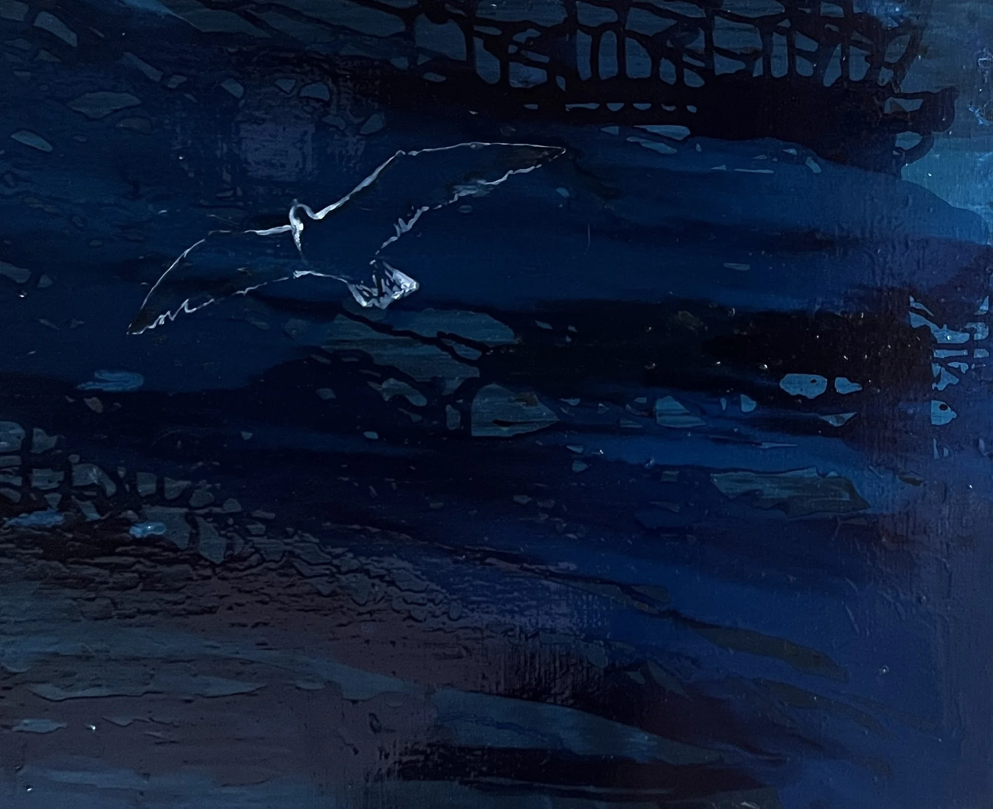 SEAGULL JONATAN 1, 2024, BY NATASHA FREEMAN