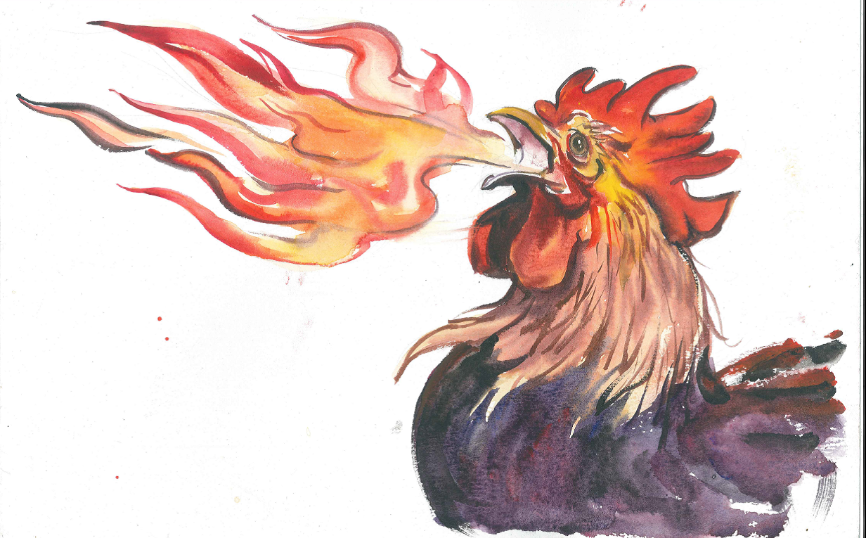 Lou's Chicken Drawing.png