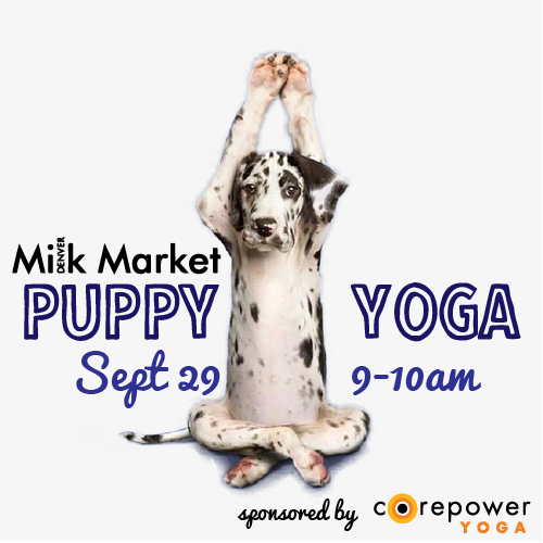 MM Puppy Yoga Website 9.29.png