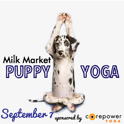 Puppy Yoga September.png