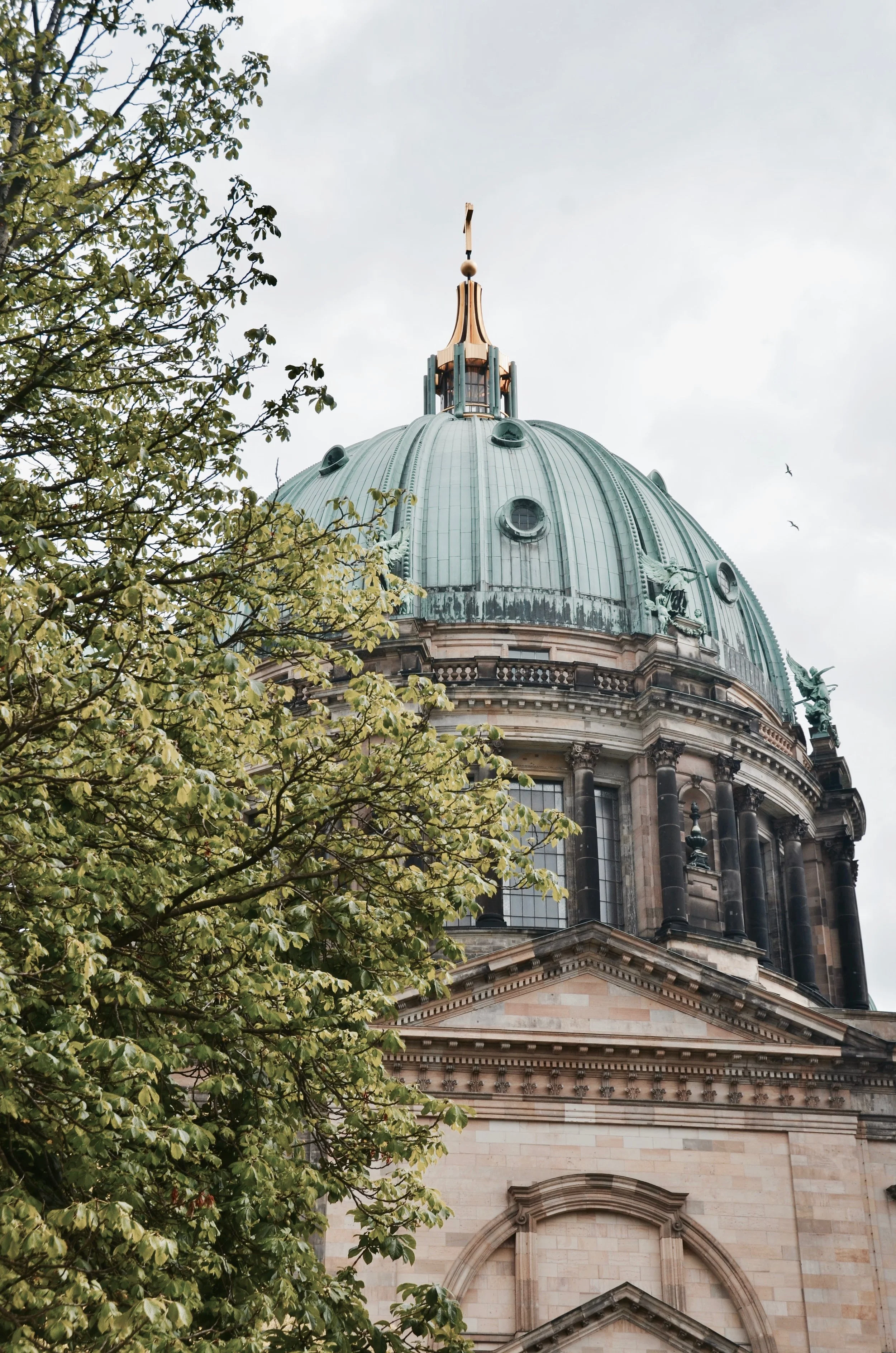 DSC_1923 2.jpg