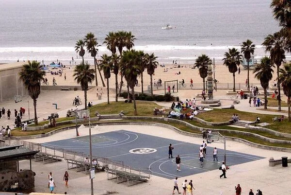 Venice: Skate. Bike. Play. Repeat. #freedom#basketball #skateboard #bikes #sports #palmtrees #sand #cali #venicebeach #socal