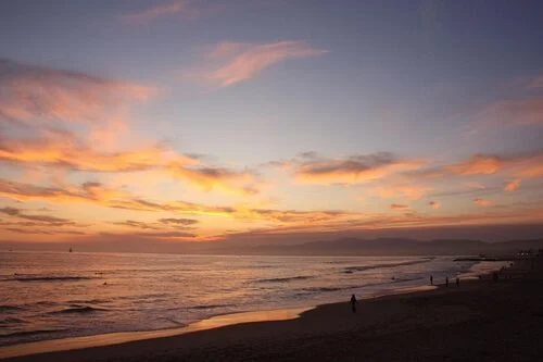 Goodnight, Venice. See you in the morning for another great day of fun and sun! #venice #losangeles #cali #socal #beach #sunset #palmtrees #sand #birds